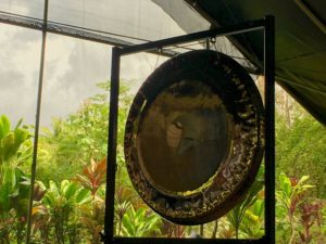 paiste gong in hawaii