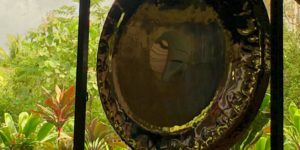 paiste gong in hawaii - gong yoga newsletter
