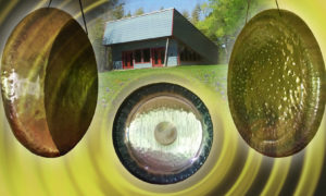 margaret austin center texas advanced gong playing training