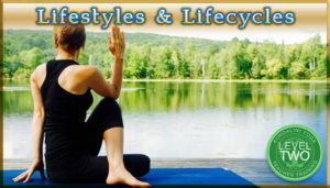 lifestyles and lifecycles kundalini level two teacher training