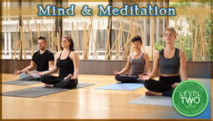 mind and meditation kundalini yoga level two training kri