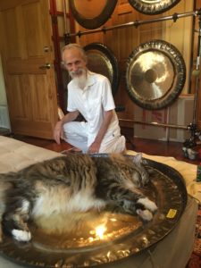 cat sleeping on a gong