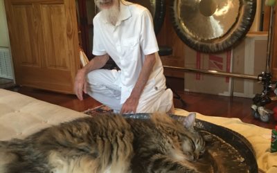 Gong Yoga Newsletter September 2018: Sleeping with the GONG