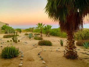 gong yoga vacation retreat in mexico