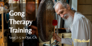 gong therapy training with mehtab