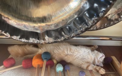 Gong Yoga Newsletter: March 2022 – Sleeping with the GONG
