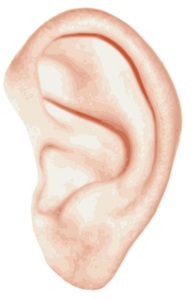 ear