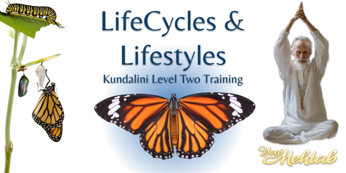 lifecycles and lifestyles - kundalini level two training