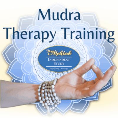 mudra therapy training